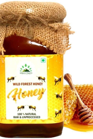 hillpure-organic-honey-500