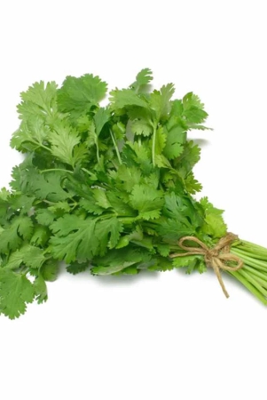 namdhari-coriander-bunch-100-gm