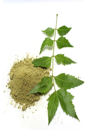 MYGODGIFT  Neem Patta Powder - Azadirachta Indica - Neem Leaves  200 gm