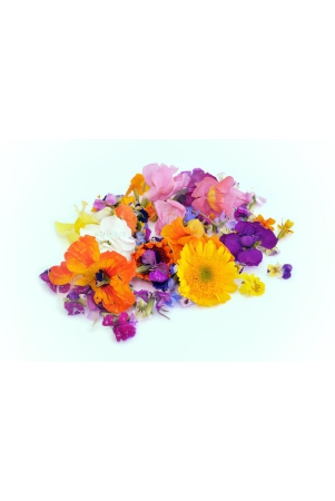 edible-mix-flowers-1-pack