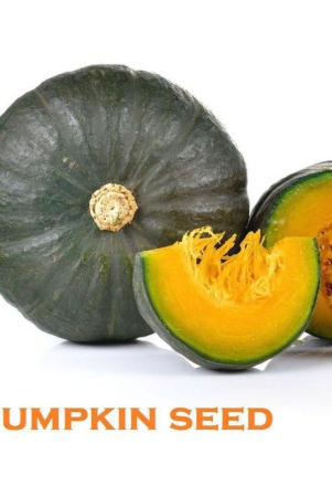 Hybrid Pumpkin Seeds ( 20 Seeds)