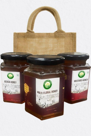 honey-gift-bag-beri-honey-500gm-multi-floral-honey-500gm-mustard-honey-500gm