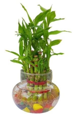 green-plant-indoor-green-wild-artificial-flowers-with-pot-pack-of-1-