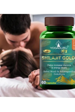 Shilajit Gold Capsules 60 Cap