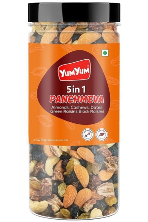 yum-yum-panchmeva-250g-mixed-dry-fruits-healthy-trail-mix