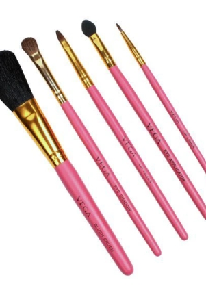 vega-set-of-5-brushes-rv-05-color-may-vary-1-pcs