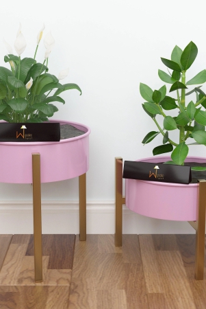 wooden-twist-modern-champagne-planter-stand-set-of-2-pink-golden