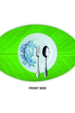 revexo-set-of-6-pvc-table-mats-green