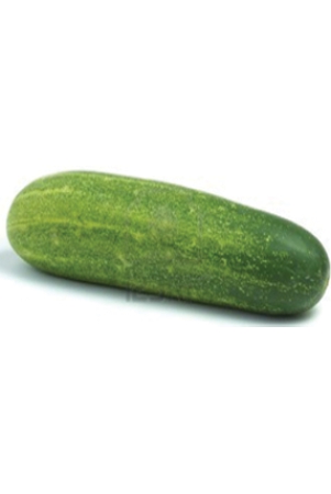 cucumber-indian-500-gms