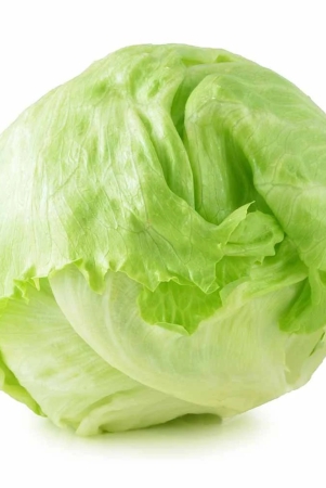 salad-veggies-lettuce-iceberg-1-kg