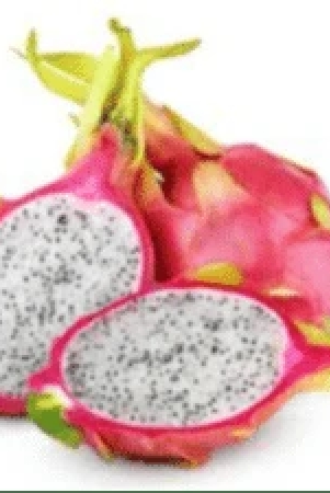 dragon-fruit