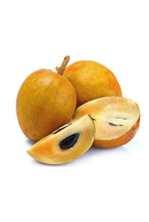 chikoo-semi-ripe-1-kg