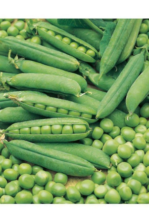 pea-seeds