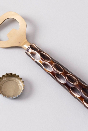 Gallant Stainless Steel & Resin Bottle Opener in Gold Color