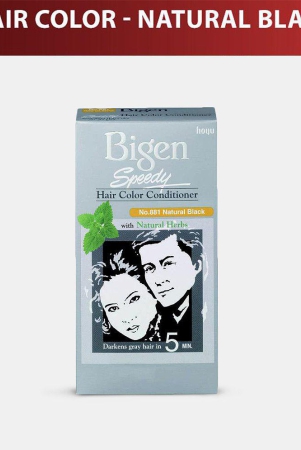 bigen-speedy-hair-color-no-881-natural-black