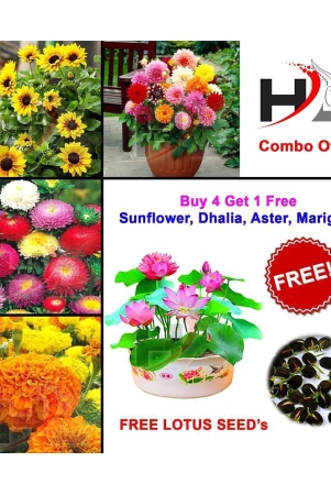 hl-combo-sunflower-dhalia-aster-marigold-and-free-lotus-seeds