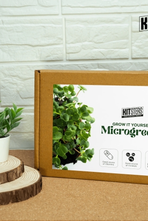 diy-microgreens-kit