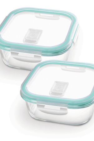 treo-by-milton-hi-borosilicate-clip-fresh-square-container-set-of-2-320-ml-each-transparent