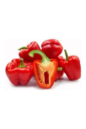 capsicum-red