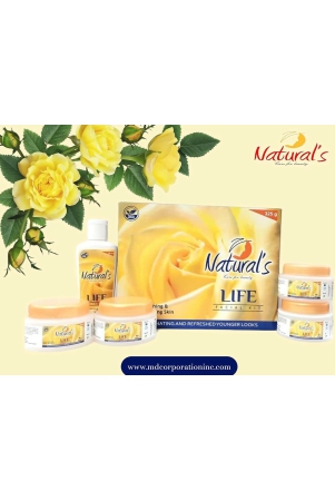 naturals-care-for-beauty-life-facial-kit-325-gm