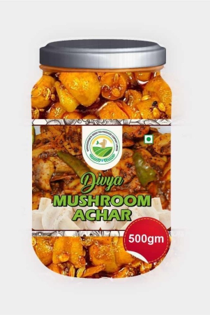 divya-mushroom-achar-500-gm