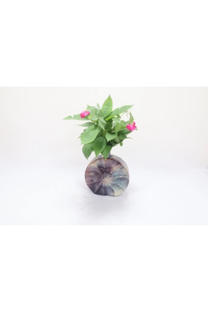 khurja-pottery-flower-vase-ring-matki-shape-brinjal-colour-9-inches