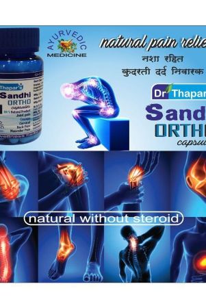 dr-thapars-sandhi-ortho-non-steriod-ay-5010-free-capsule-500-mg