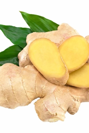 roots-and-tuber-ginger-1-kg