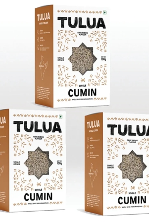 cumin-seeds-whole-100g-100g-pack-of-3