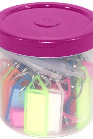 rangwell-multicolor-id-tags-keychainset-of-50