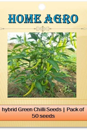 homeagro - Vegetable Seeds ( 50 seeds )