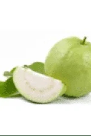 guava