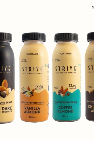 STRIVE Protein Shake | 12.6 g Protein-120 pack / Chocolate Almond