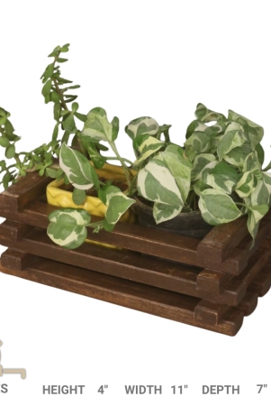 planter-crate-type