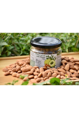 amla-spread-with-almond-350gm