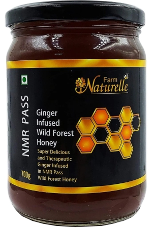 farm-naturelle-farm-natural-produce-virgin-raw-natural-nmr-tested-pass-certified-ginger-infused-wild-forest-flower-honey-glass-bottle-700gram