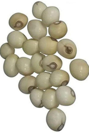 shubh-siddhi-chirmi-beads-gunja-1-100-gm-pack-of-21-