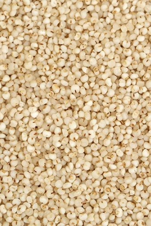 vattam-kodo-millet-10-kg