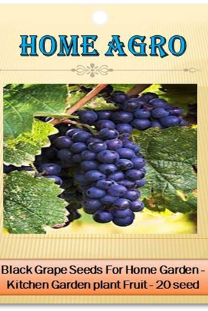 homeagro - Fruit Seeds ( 20 seeds )