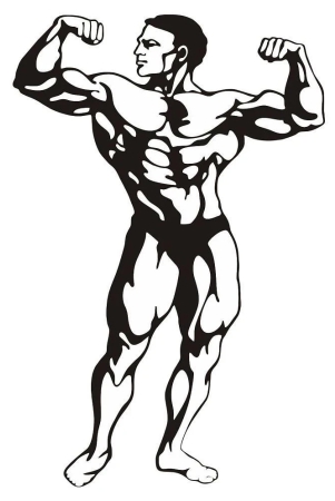 asmi-collection-body-builder-wrestler-wall-stickers-for-gym-sticker-40-x-60-cms-