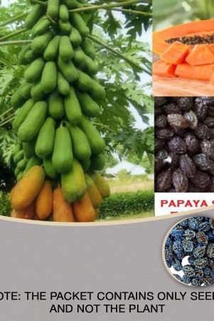 papaya-papita-honey-dew-fruit-pack-of-50-seeds