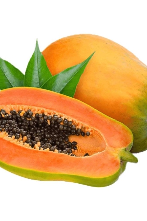 na-papaya-23-kg