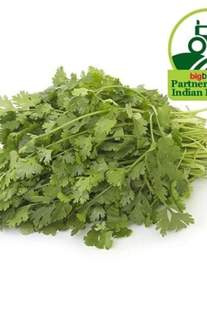 coriander-leaves-bunch