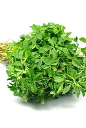 methi-leaves-200-gms