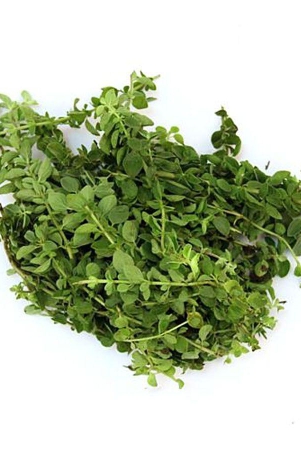 fresh-oregano-50-gms