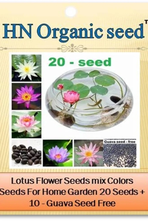 homeagro-flower-seeds-20-