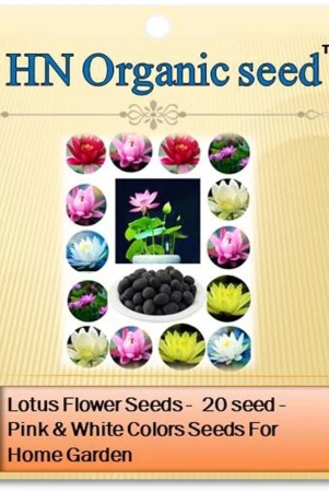 homeagro - Flower Seeds ( Lotus seeds -mixed colours 20 seeds )