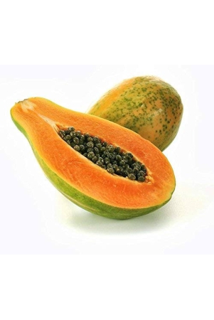 papaya-1-pc-750-gms-12-kgs