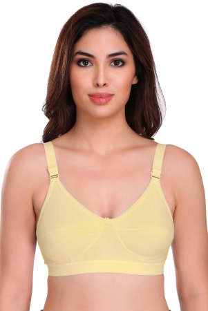 eves-beauty-basic-bra-women-full-coverage-non-padded-bra-40d-skin-cotton-blend