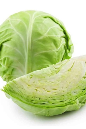 namdhari-cabbage-green-1-kg